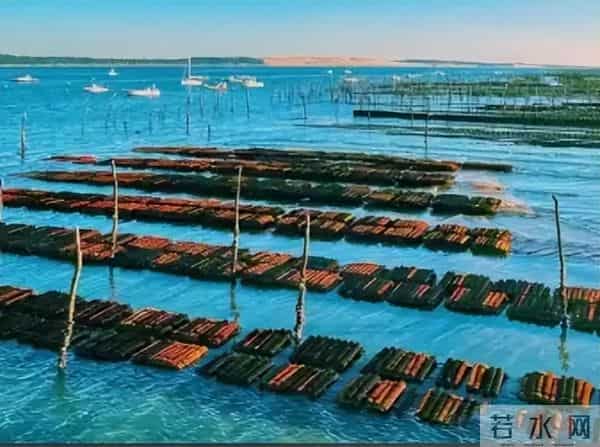 当生活不堪重负，更要自寻乐趣-13个让你迅速快乐起来的方式