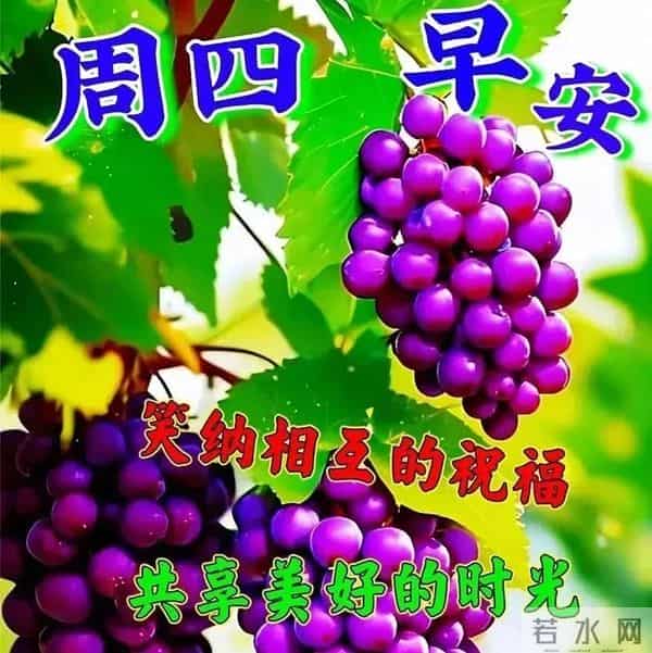 「冬日暖阳」11月27日早上好！初冬的早晨祝福问候语，早安图片