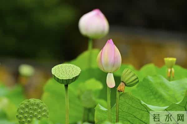 一段婚外情，留给男人的和女人的3个不同结局。