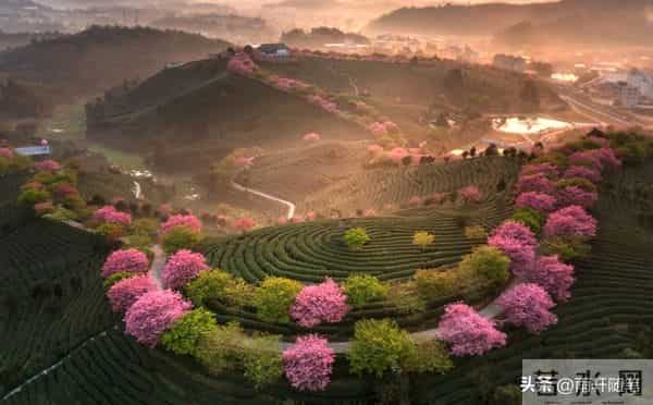 到了晚年才明白:出息的孩子是面子,贴心的孩子是拐杖