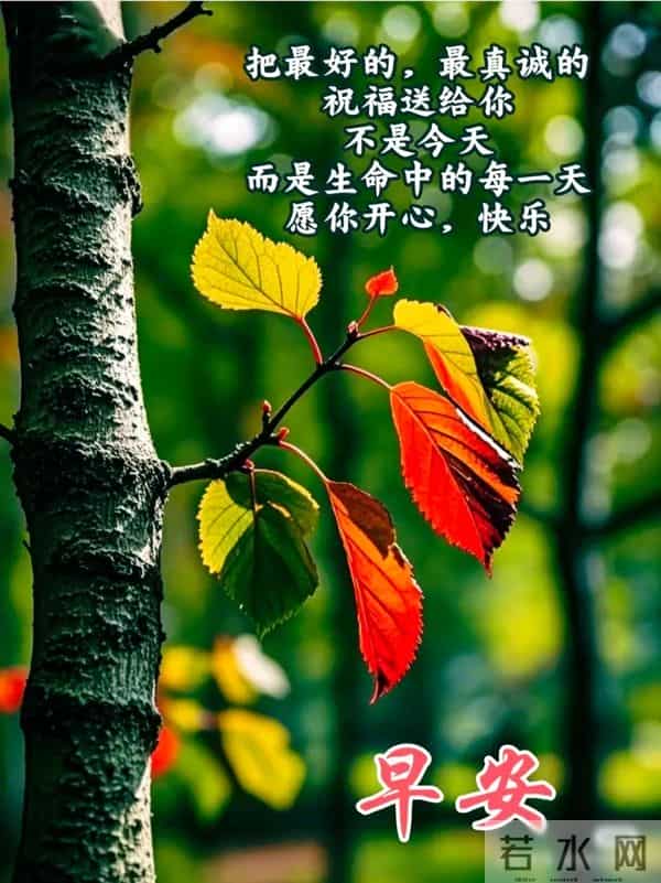早上好早安祝福美图-岁月无恙，今冬安祥