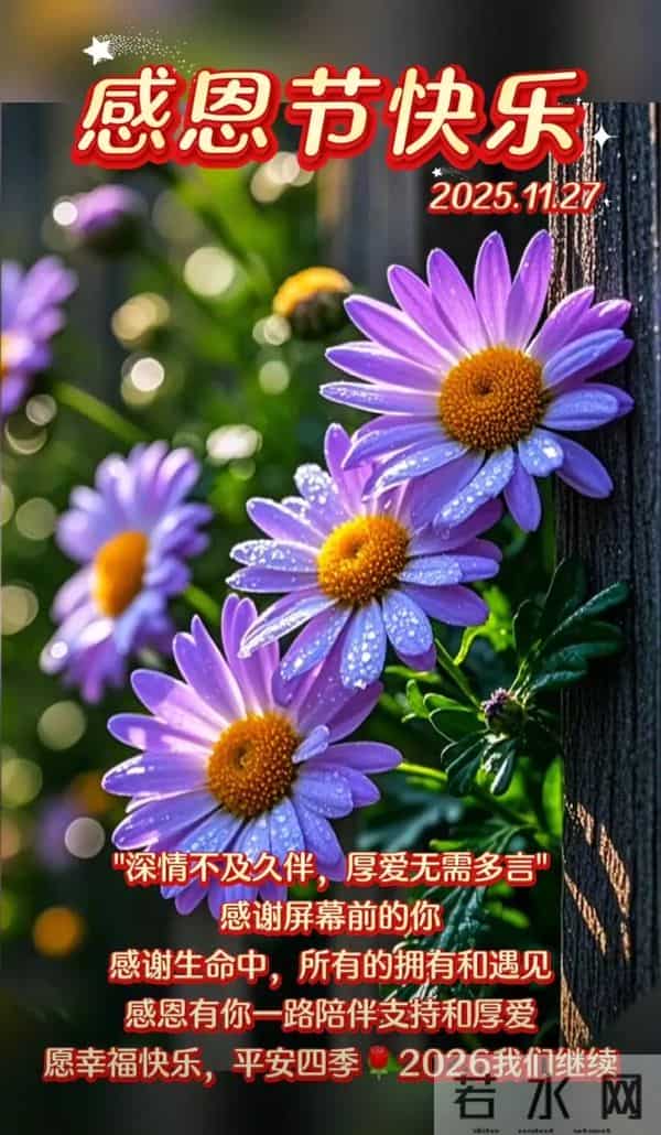 2025感恩节祝福图片 感恩节暖心文案 只想对你说一句 感恩有你 早上好