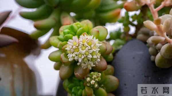 老伴想把孙子户口落我家，得知我把房子过户给了女儿，她转身走人