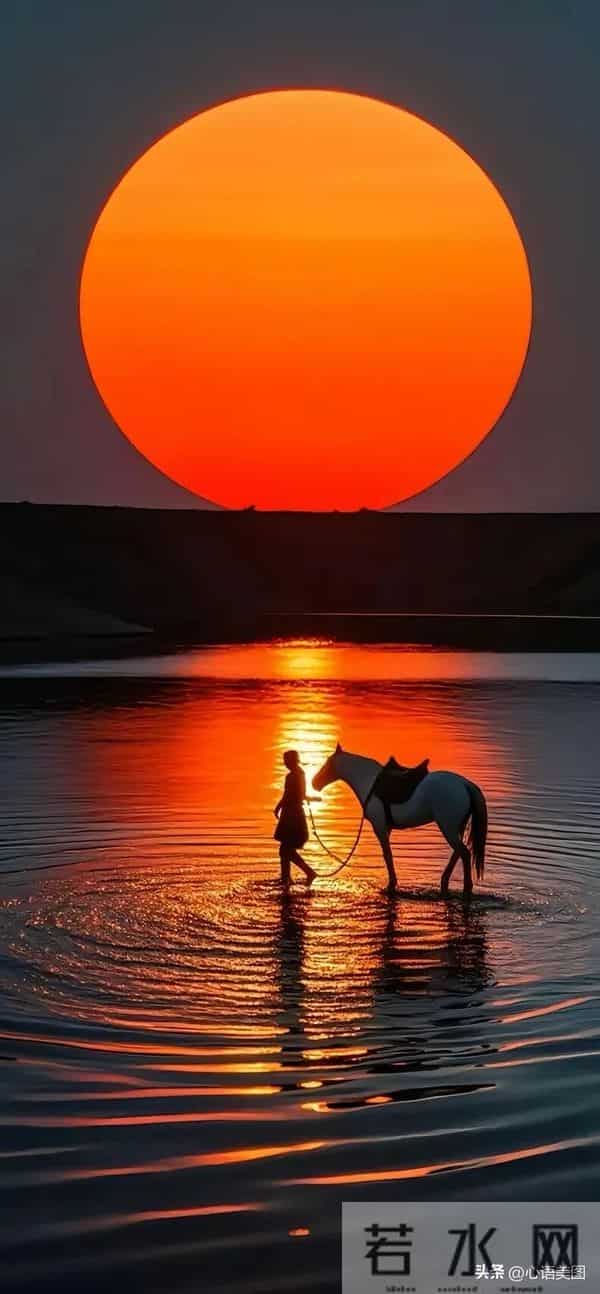 早安正能量图片文案：才华是刀刃，勤奋是磨刀石！