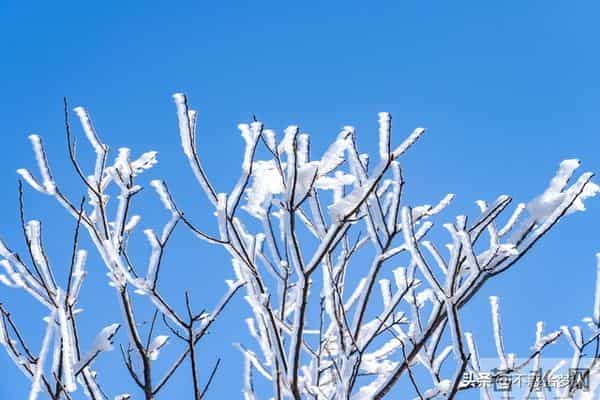 人生下半场，最好的活法：与世界温柔相处，与自己安然相伴