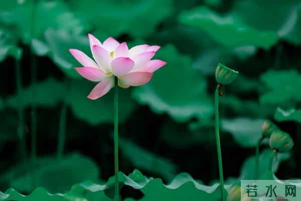 婆家别管3件事，娘家少说2句话，家庭少吵8成，日子越过越过顺