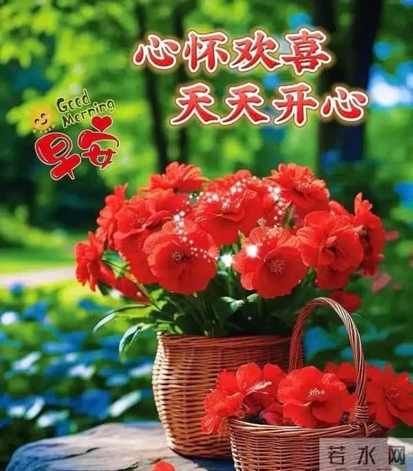 新的一天,新的开始!一句早安,温暖心房;一份祝福,伴你身旁。