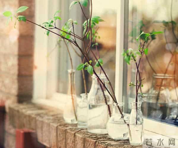 一个女人爱不爱你,一试便知:爱你的女人,三个细节伪装不了