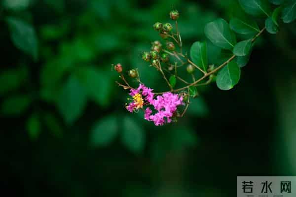 朋友之间，不管关系多好，都得在这三件事上“装哑”