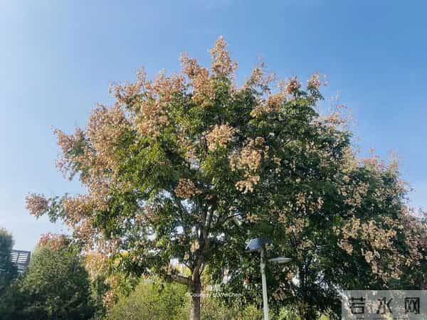 一个家庭中突然冒出这两件“喜事”，是走向衰败的征兆，别不在意