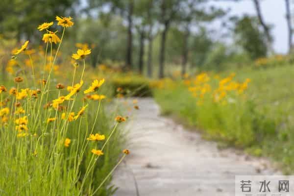 对付小人恶人,最好的方式不是硬碰硬,而是做好这3点