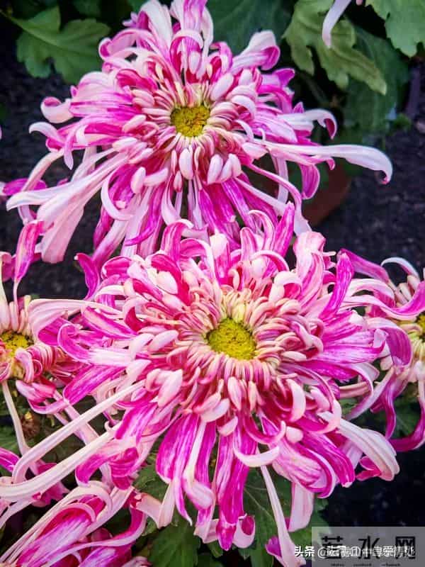 两性关系，夫妻越是喜欢分房睡，越是说明这三点。一定要重视！