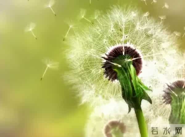 当生活不堪重负，更要自寻乐趣-13个让你迅速快乐起来的方式