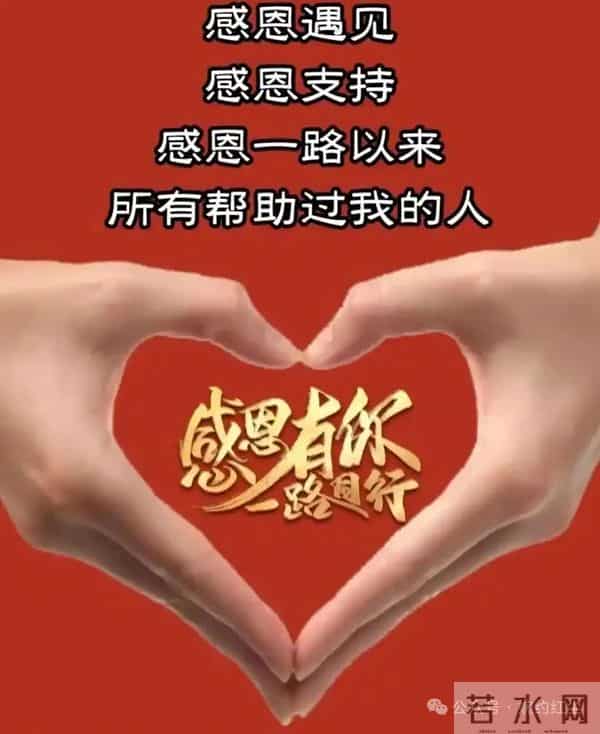 感恩到心,感谢有你,感恩如花开,岁月皆温柔