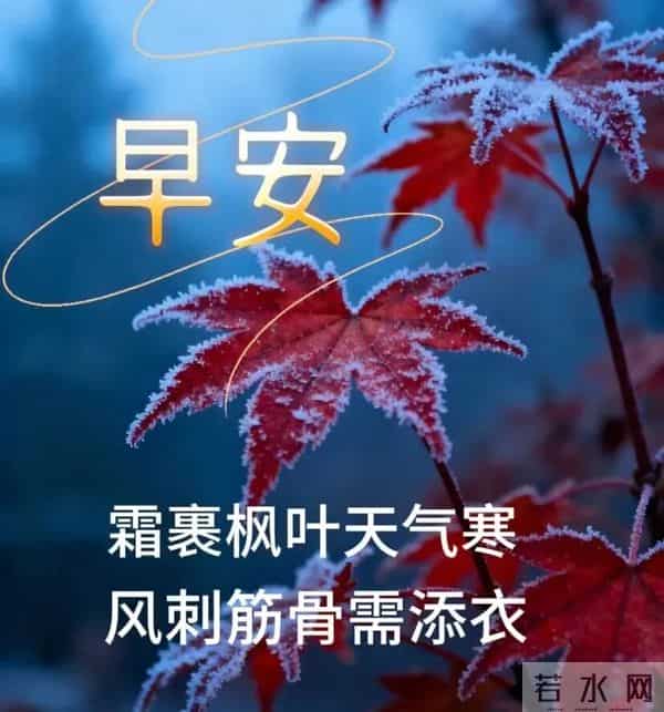 11月27日早上好 早上好清新淡雅图片 早上好图片最新今天 每日问候