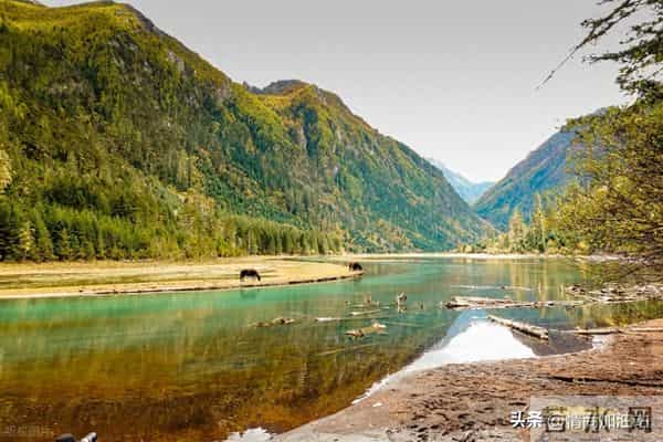 体面是挣来的！懦弱是忍来的！这个世界不奖励好人！