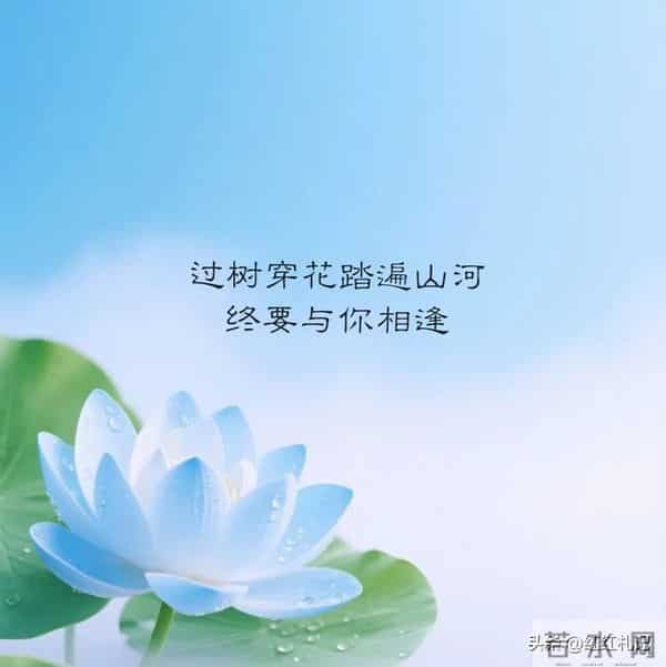 余生很短，别让遗憾太长。