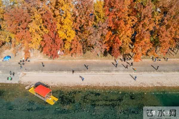 人老了,最嫌弃你的人是谁?主要有三人,看完你就明白了