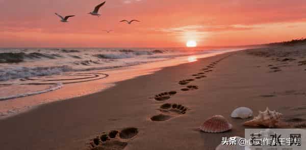 心向暖阳,步履不停:你的态度决定人生高度