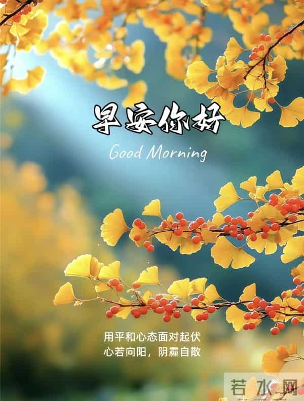 2025.11.27 周四早上好！最新精美周四早安愉快温馨祝福语图片分享