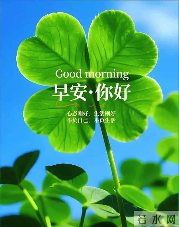 新的一天,新的开始!一句早安,温暖心房;一份祝福,伴你身旁。