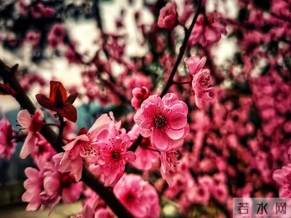 一辈子,有三个人不能得罪,得罪一个都难安稳过下半生!