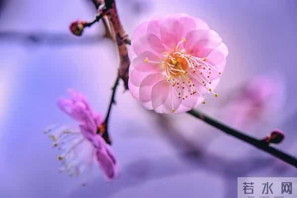 两性关系:女人不愿靠近你?多半是你踩了这 4 个 “触碰雷区”