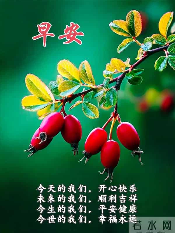 早上好早安祝福美图-岁月无恙，今冬安祥