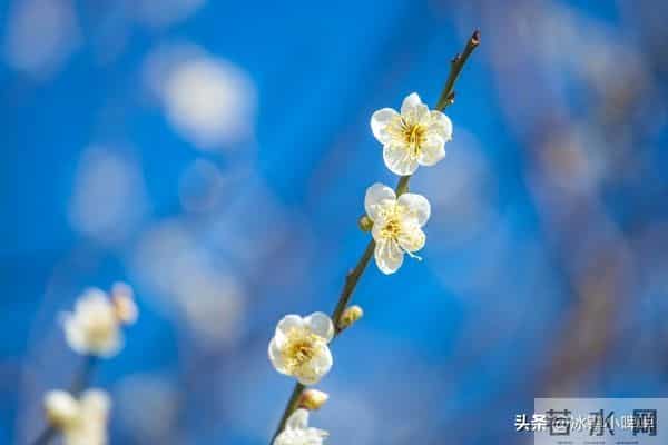 中年女人若有这3种“气味”，最勾男人魂，第三种最致命