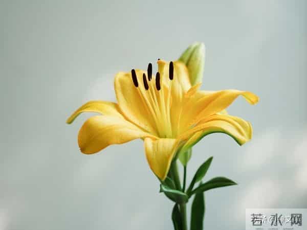 越是“理性”的女人，就越高级，她藏在这些为人处世的细节里