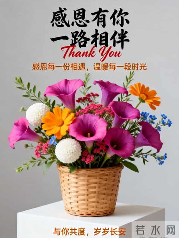 2025年11月27感恩节图片感恩节祝福语 感恩节最暖心文案 感恩节