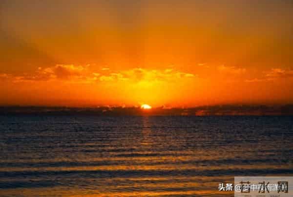 王者的孤独，狮子座