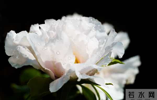 如果你已经六十岁,请看完此文,一定对你有所帮助,