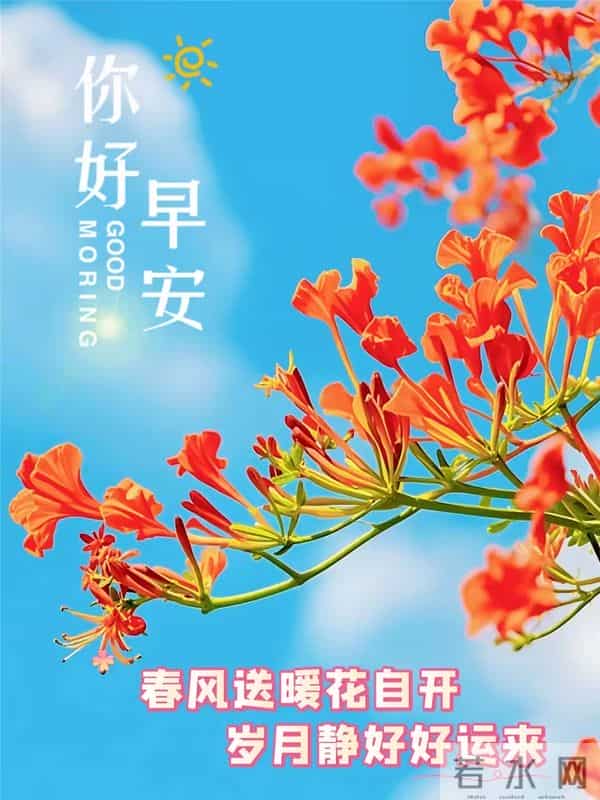 早上最新经典问候图（145）