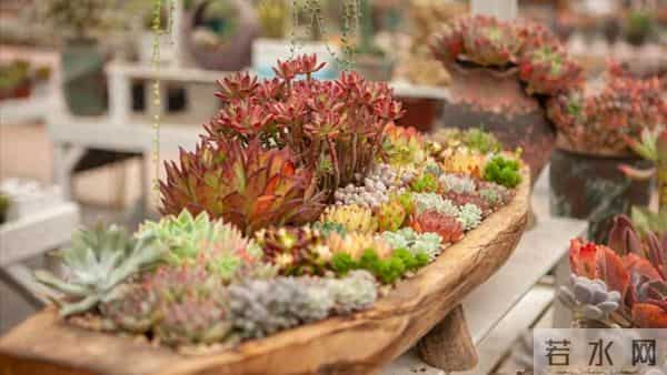 55岁忽然想明白:有3500退休金和30万存款,真没必要还拼命存钱了