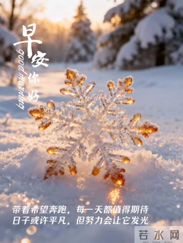 知恩于心,感念于行,常怀感恩,以心汇暖,让感恩铺满初冬的晨光