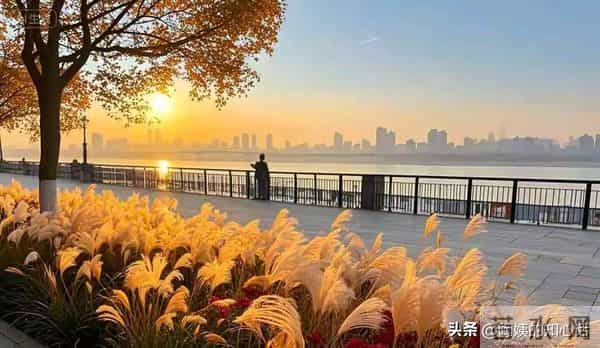 性格太软的你一定要懂:对付一个人,吵没用翻脸没用、沉默更没用