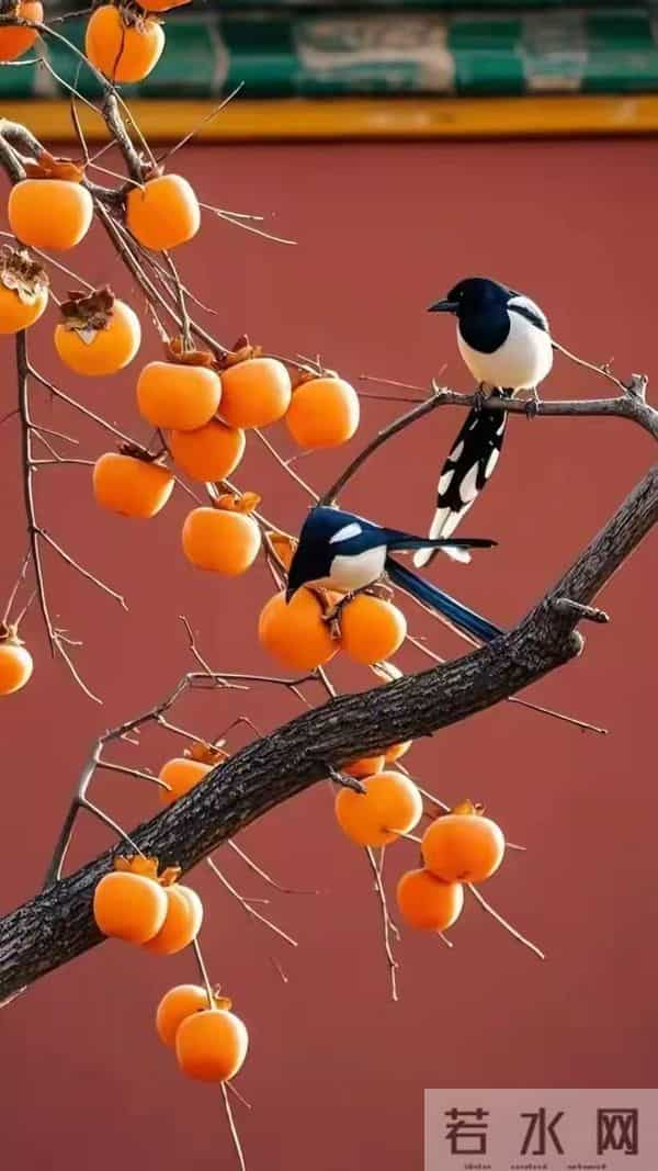 在走上坡路的人就会刷到，好运降临，财运亨通，平步青云！