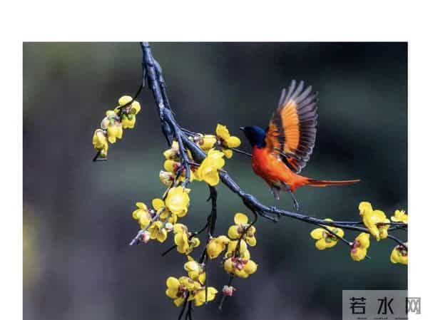 低谷不会永远困住你，今天是最后一天，下一步你将迎来崭新人生