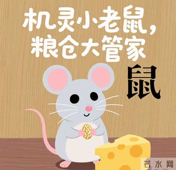 11月27号至30号下半月属相:子鼠