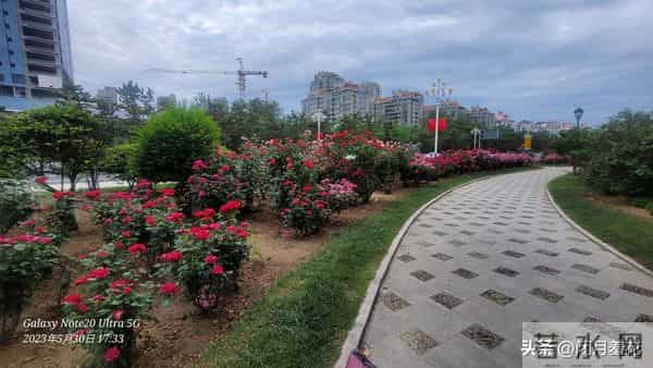 半生风雨半生悟：释怀才是人生的解药