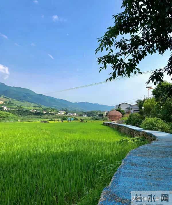 老了才悟透：人生没有什么放不下的，一切都是最好的安排