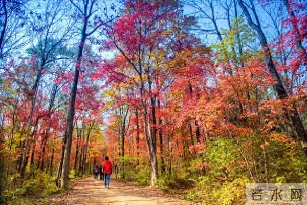 和兄弟姐妹翻脸后,还要不要来往?一“过来人”的答案,字字扎心