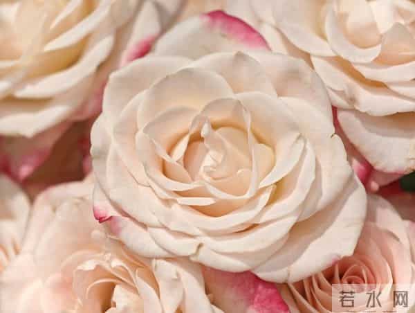 真正爱你的人,从来不会让你站在风雨里等