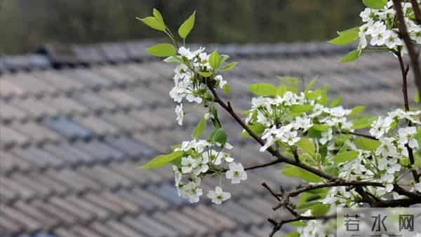 76岁老人坦言：人老了根本不需要养老！每天找些事做晚年不靠子女