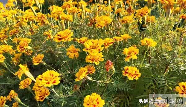 性格太软的你一定要懂:对付一个人,吵没用翻脸没用、沉默更没用