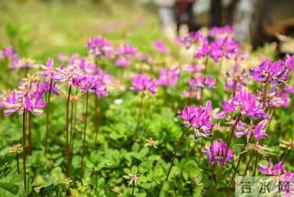 请告诉女儿:第一次去男方家,这几件事别做,才不会被人看不起!