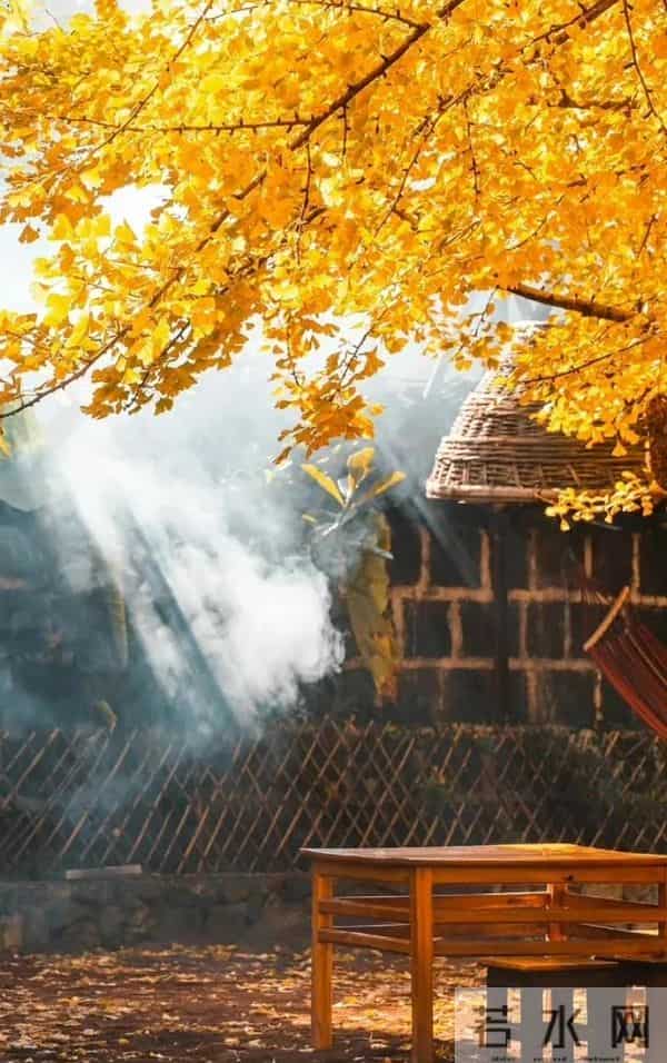 退休后,只想找个院子,不争、不赶、不卷