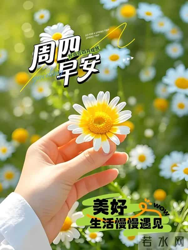 「冬日暖阳」11月27日早上好！初冬的早晨祝福问候语，早安图片