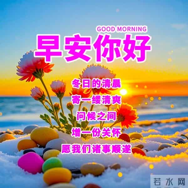 在晨曦中，我们怀揣着情谊与期许，迎接新的一天。早安！